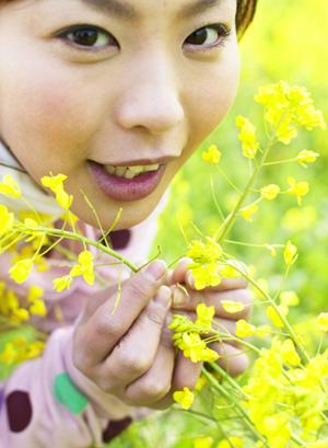 ツムラ漢方薬桂枝茯苓丸の通販販売