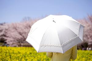 糖鎖は細胞を健康に保つための役割がある