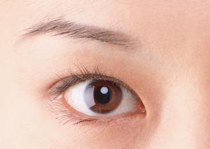 名古屋緑区で選ばれる歯医者のポイントとおすすめクリニック完全ガイド