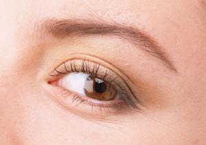 幅広いメニューがあるキャビン・ド・ボーテ・エラン